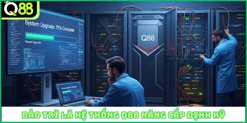 Bảo trì là hệ thống Q88 nâng cấp định kỳ