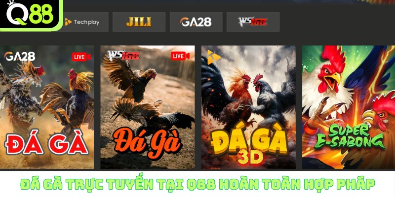 Đá gà trực tuyến tại Q88 hoàn toàn hợp pháp