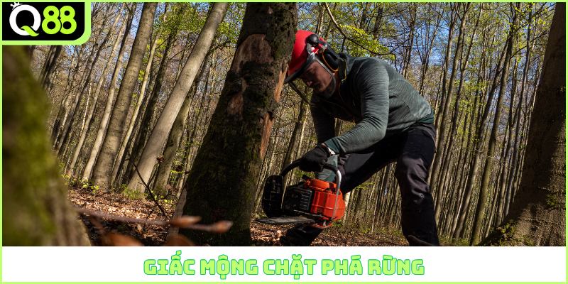 Giấc mộng chặt phá rừng