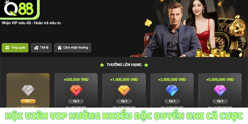 Hội viên VIP hưởng nhiều đặc quyền khi cá cược 