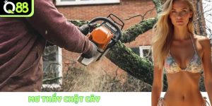 Mơ thấy chặt cây