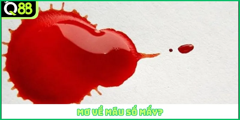 Mơ về máu số mấy?