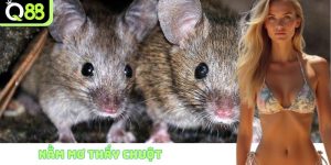 Nằm mơ thấy chuột