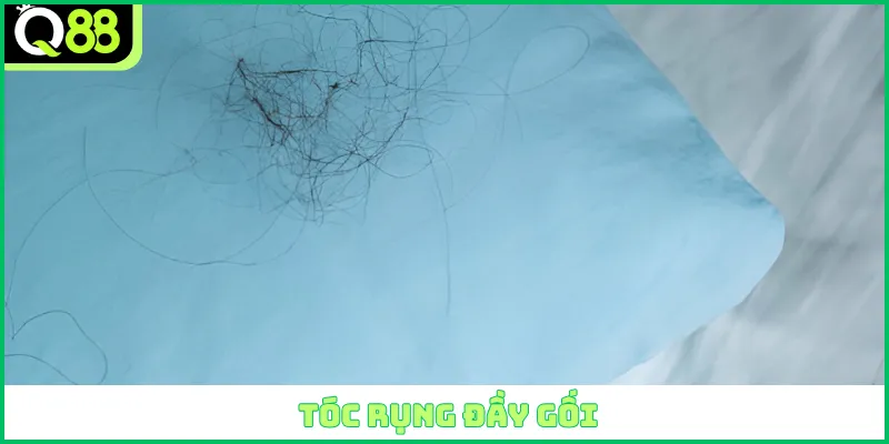 Tóc rụng đầy gối